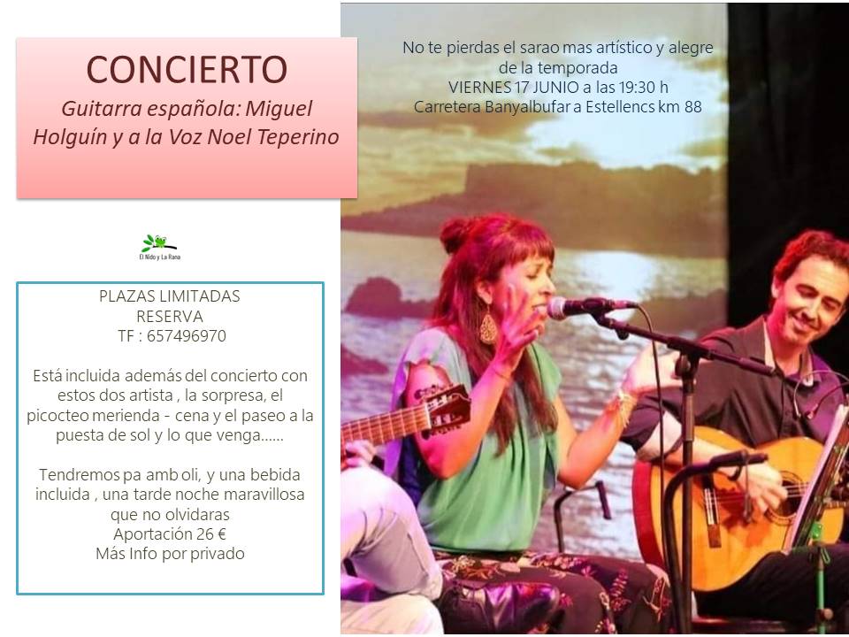 CONCIERTO DE NOEL Y MIGUEL