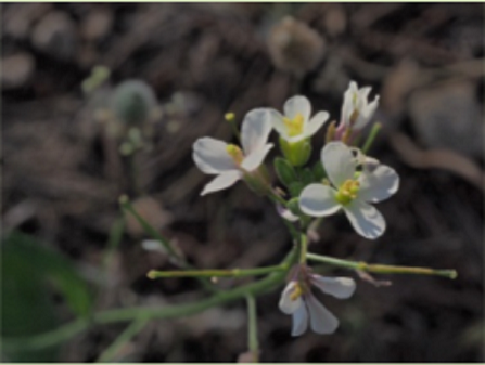 UNA CONVERSACI&Oacute;N NOCTURNA