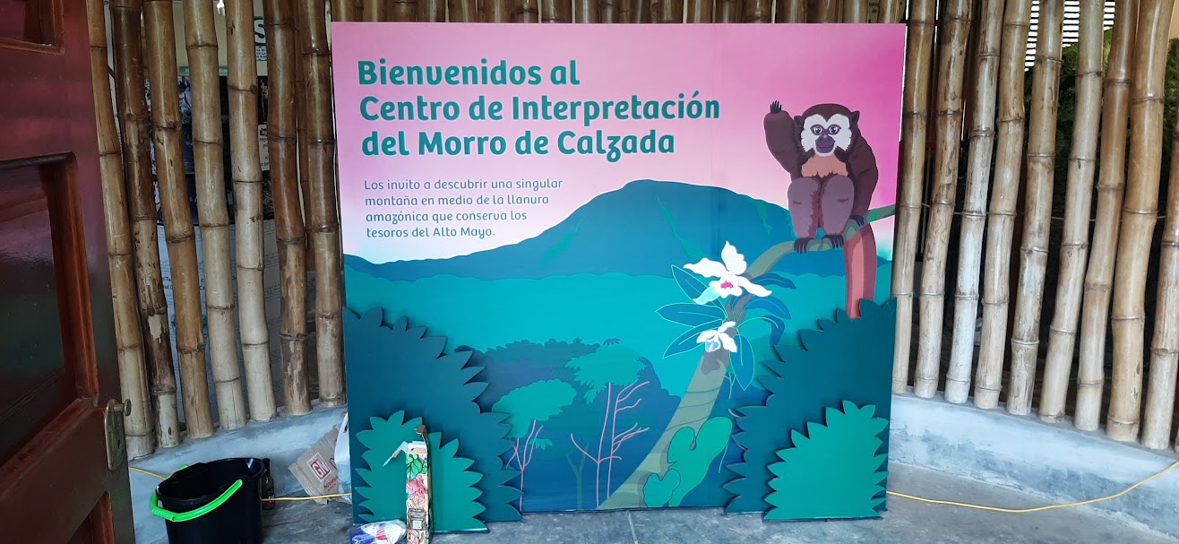 AL DISTRICTE MOIOBAMB&Iacute; DE CALZADA  (III)